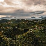 Luxury hotels are increasingly betting big on Rwanda travel