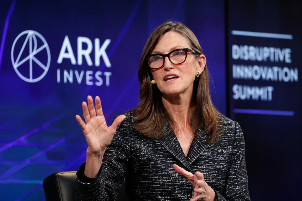 Why Cathie Wood is doubling down on this $18 stock