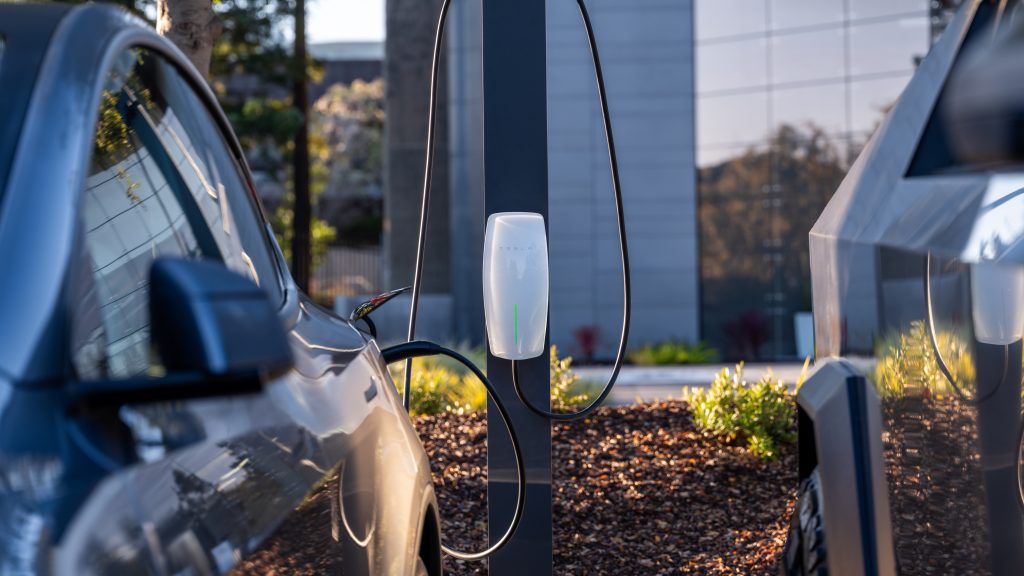 Tesla launches Robotaxi operations in Miami amid growing competition