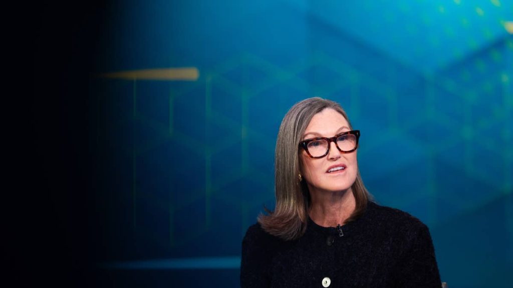 Cathie Wood buys $8.7 million of beaten-down AI stock